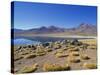 Atacama Desert-Guido Cozzi-Stretched Canvas