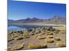 Atacama Desert-Guido Cozzi-Mounted Photographic Print