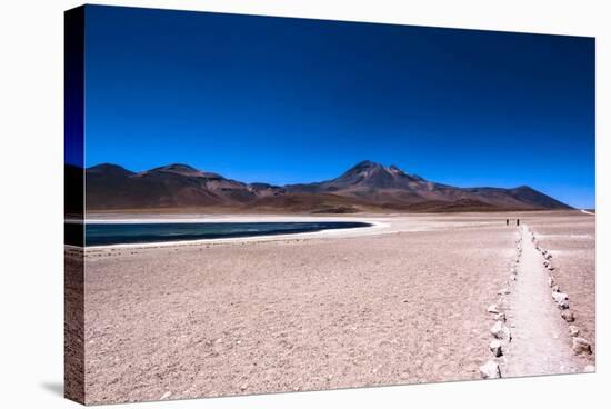 Atakama Desert, Chile and Bolivia-Françoise Gaujour-Stretched Canvas