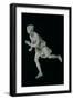 Atalanta, 3rd-2nd Century BC (Marble), Female Athlete in Greek Mythology-null-Framed Giclee Print