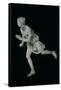 Atalanta, 3rd-2nd Century BC (Marble), Female Athlete in Greek Mythology-null-Framed Stretched Canvas