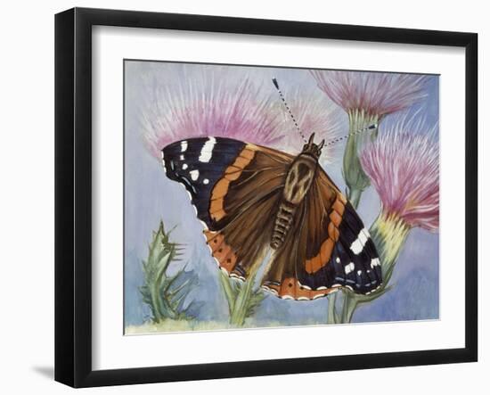 Atalanta (Vanessa Atalanta), Nymphalidae-null-Framed Giclee Print