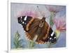 Atalanta (Vanessa Atalanta), Nymphalidae-null-Framed Giclee Print