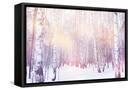 Framed Canvas