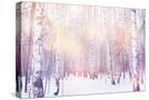 Stretched Canvas