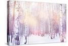 Stretched Canvas