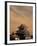 Atami-Jo Castle, Shizuoka, Japan-Walter Bibikow-Framed Photographic Print