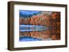 Ataturk Arboretum-Samet Guler-Framed Photographic Print