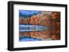 Ataturk Arboretum-Samet Guler-Framed Photographic Print