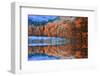 Ataturk Arboretum-Samet Guler-Framed Photographic Print