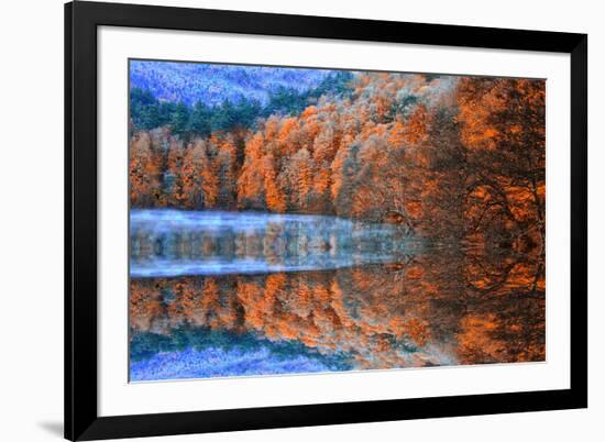 Ataturk Arboretum-Samet Guler-Framed Photographic Print