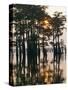 Atchafalaya Swamp, 'Cajun Country', Louisiana, USA-Sylvain Grandadam-Stretched Canvas