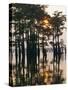 Atchafalaya Swamp, 'Cajun Country', Louisiana, USA-Sylvain Grandadam-Stretched Canvas