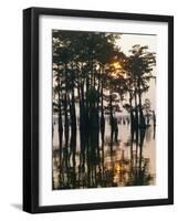 Atchafalaya Swamp, 'Cajun Country', Louisiana, USA-Sylvain Grandadam-Framed Photographic Print