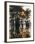 Atchafalaya Swamp, 'Cajun Country', Louisiana, USA-Sylvain Grandadam-Framed Photographic Print