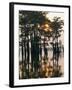 Atchafalaya Swamp, 'Cajun Country', Louisiana, USA-Sylvain Grandadam-Framed Photographic Print