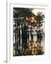 Atchafalaya Swamp, 'Cajun Country', Louisiana, USA-Sylvain Grandadam-Framed Photographic Print