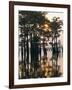 Atchafalaya Swamp, 'Cajun Country', Louisiana, USA-Sylvain Grandadam-Framed Photographic Print