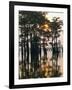 Atchafalaya Swamp, 'Cajun Country', Louisiana, USA-Sylvain Grandadam-Framed Photographic Print