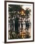 Atchafalaya Swamp, 'Cajun Country', Louisiana, USA-Sylvain Grandadam-Framed Photographic Print