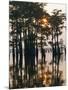 Atchafalaya Swamp, 'Cajun Country', Louisiana, USA-Sylvain Grandadam-Mounted Photographic Print