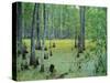 Atchafalaya Swamp Near Gibson in the Heart of 'Cajun Country', Louisiana, USA-Robert Francis-Stretched Canvas