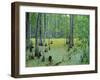 Atchafalaya Swamp Near Gibson in the Heart of 'Cajun Country', Louisiana, USA-Robert Francis-Framed Photographic Print