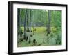 Atchafalaya Swamp Near Gibson in the Heart of 'Cajun Country', Louisiana, USA-Robert Francis-Framed Photographic Print