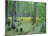 Atchafalaya Swamp Near Gibson in the Heart of 'Cajun Country', Louisiana, USA-Robert Francis-Mounted Photographic Print