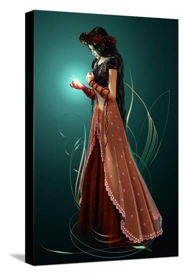 Stretched Canvas Print, , large