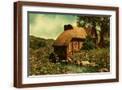 Brown Frame