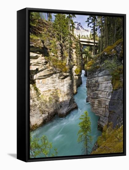 Athabasca Falls, Jasper National Park, Alberta, Canada-Larry Ditto-Framed Stretched Canvas