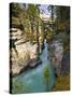 Athabasca Falls, Jasper National Park, Alberta, Canada-Larry Ditto-Stretched Canvas