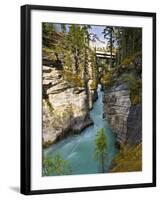 Athabasca Falls, Jasper National Park, Alberta, Canada-Larry Ditto-Framed Photographic Print