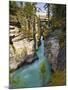 Athabasca Falls, Jasper National Park, Alberta, Canada-Larry Ditto-Mounted Photographic Print