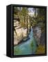 Athabasca Falls, Jasper National Park, Alberta, Canada-Larry Ditto-Framed Stretched Canvas