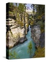 Athabasca Falls, Jasper National Park, Alberta, Canada-Larry Ditto-Stretched Canvas