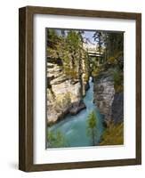 Athabasca Falls, Jasper National Park, Alberta, Canada-Larry Ditto-Framed Photographic Print