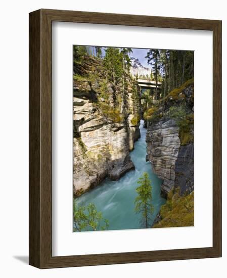 Athabasca Falls, Jasper National Park, Alberta, Canada-Larry Ditto-Framed Photographic Print