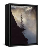 Athabasca Falls, Jasper National Park, Unesco World Heritage Site, Alberta, Canada-James Hager-Framed Stretched Canvas