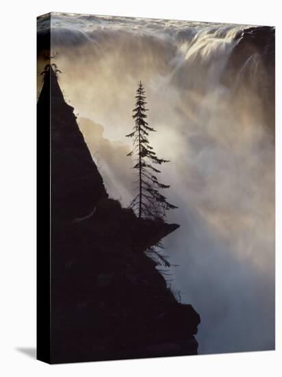 Athabasca Falls, Jasper National Park, Unesco World Heritage Site, Alberta, Canada-James Hager-Stretched Canvas