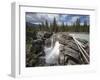 Athabasca Falls, Jasper National Park, UNESCO World Heritage Site, British Columbia, Rocky Mountain-Martin Child-Framed Photographic Print