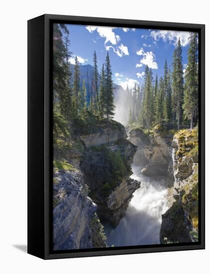 Athabasca Falls Waterfall, Jasper National Park, Alberta, Canada-Michele Falzone-Framed Stretched Canvas