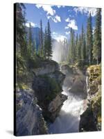 Athabasca Falls Waterfall, Jasper National Park, Alberta, Canada-Michele Falzone-Stretched Canvas