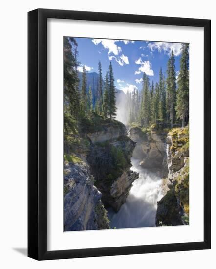 Athabasca Falls Waterfall, Jasper National Park, Alberta, Canada-Michele Falzone-Framed Photographic Print