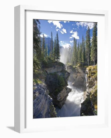 Athabasca Falls Waterfall, Jasper National Park, Alberta, Canada-Michele Falzone-Framed Photographic Print