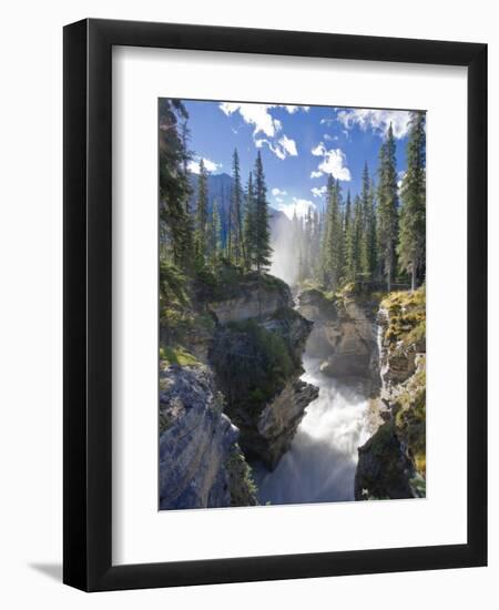 Athabasca Falls Waterfall, Jasper National Park, Alberta, Canada-Michele Falzone-Framed Photographic Print