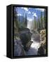 Athabasca Falls Waterfall, Jasper National Park, Alberta, Canada-Michele Falzone-Framed Stretched Canvas