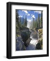 Athabasca Falls Waterfall, Jasper National Park, Alberta, Canada-Michele Falzone-Framed Premium Photographic Print