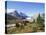 Athabasca Glacier, Columbia Icefield, Jasper National Park, Rocky Mountains, Alberta, Canada-Hans Peter Merten-Stretched Canvas